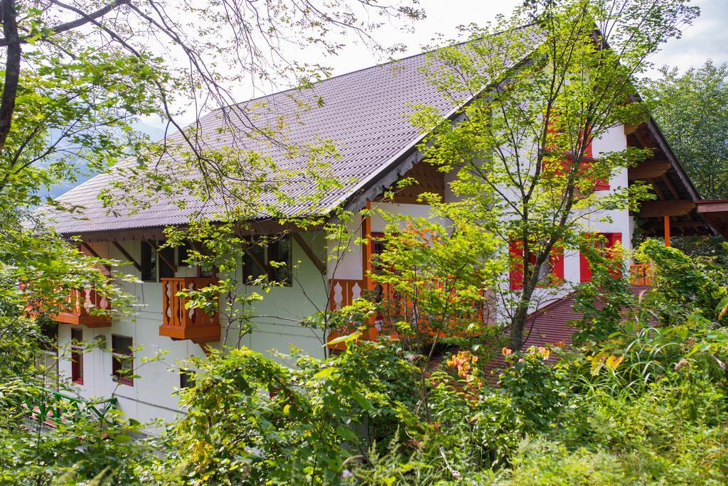 Winterfell Hakuba Villa Exterior foto